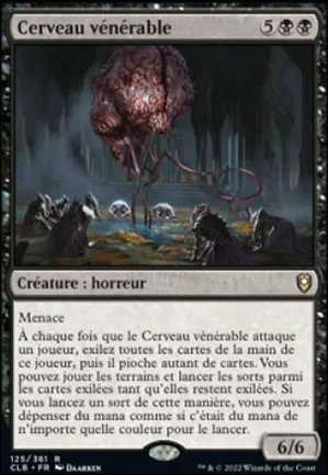Cerveau vénérable