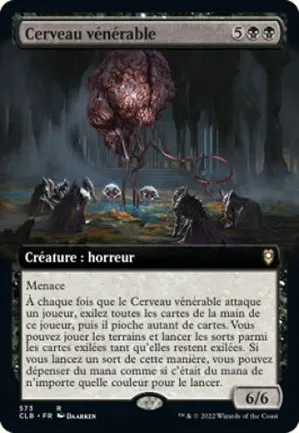 Cerveau vénérable