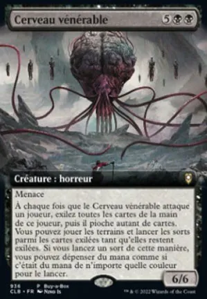 Cerveau vénérable