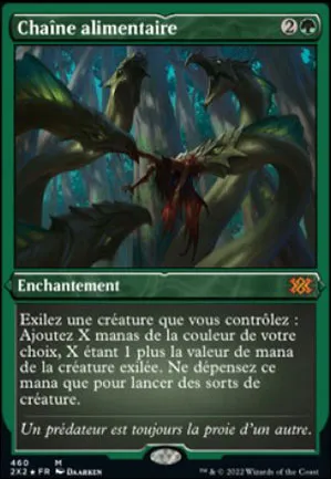 Chaîne alimentaire