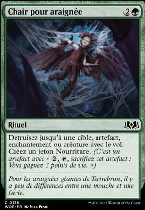 Chair pour araignée
