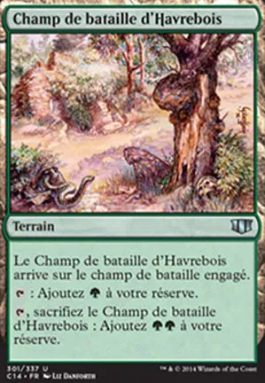 Champ de bataille d'Havrebois