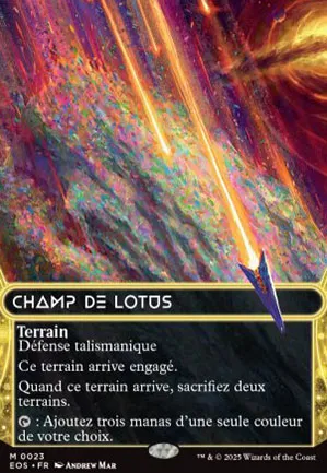 Champ de lotus