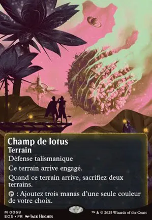 Champ de lotus