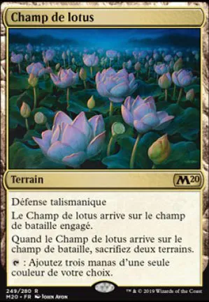 Champ de lotus