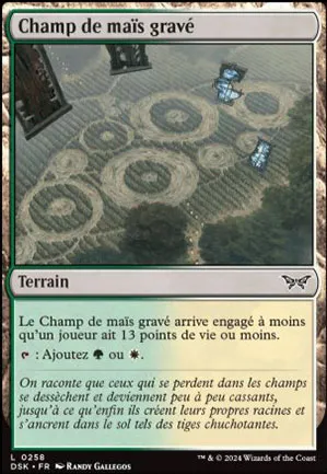 Champ de maïs gravé
