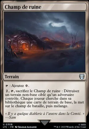 Champ de ruine