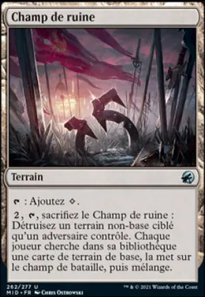 Champ de ruine