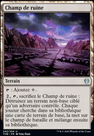 Champ de ruine