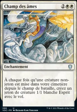Champ des âmes