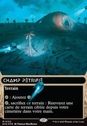 Champ pétrifié