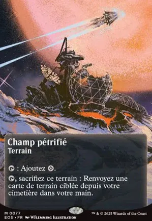Champ pétrifié