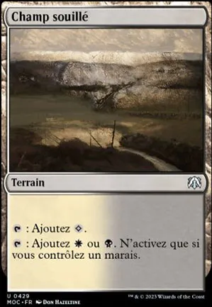 Champ souillé