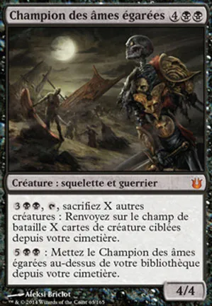 Champion des âmes égarées