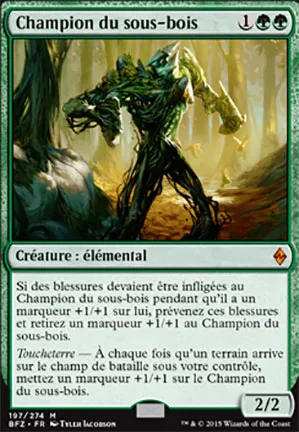 Champion du sous-bois