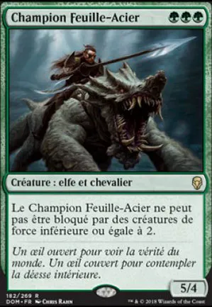 Champion Feuille-Acier