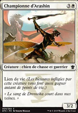 Championne d'Arashin