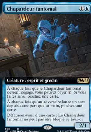 Chapardeur fantomal