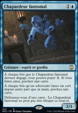 Chapardeur fantomal