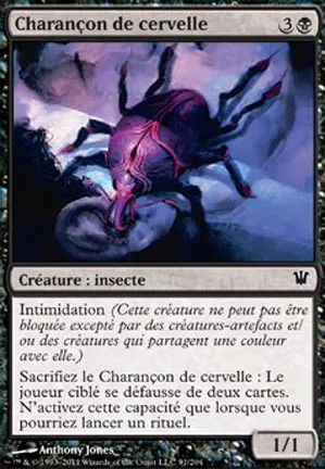 Charançon de cervelle