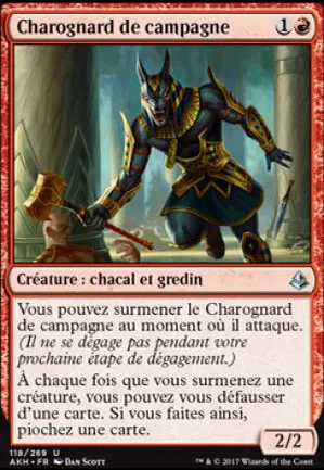 Charognard de campagne