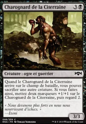 Charognard de la Citerraine