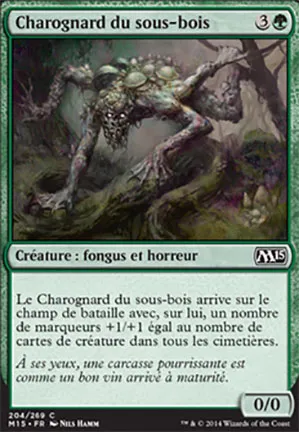 Charognard du sous-bois