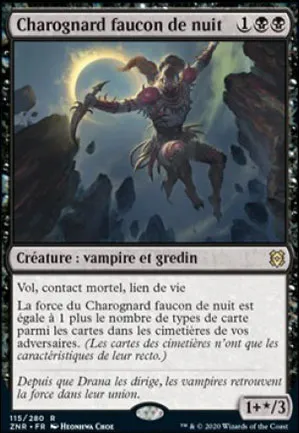 Charognard faucon de nuit