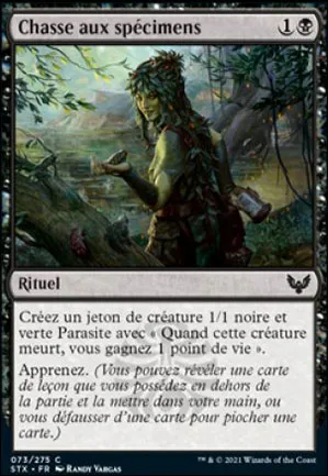 Chasse aux spécimens
