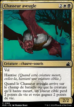 Chasseur aveugle