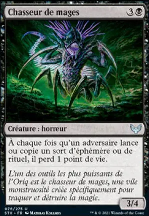 Chasseur de mages