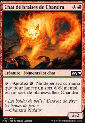 Chat de braises de Chandra
