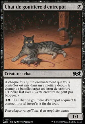 Chat de gouttière d'entrepôt