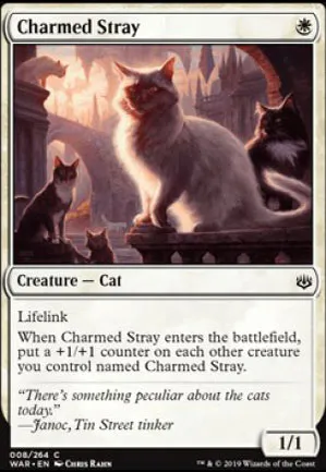 Chat de gouttière enchanté