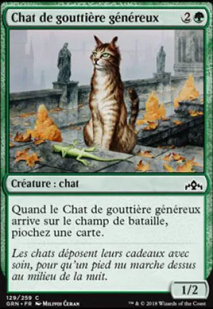 Chat de gouttière généreux