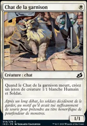 Chat de la garnison