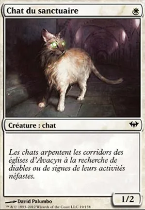 Chat du sanctuaire
