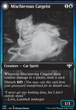 Chat-geist malicieux // Curiosité féline