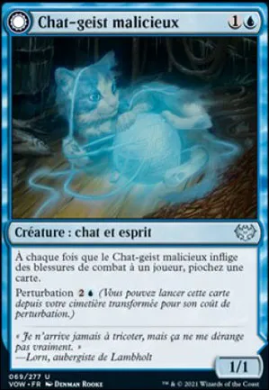 Chat-geist malicieux // Curiosité féline
