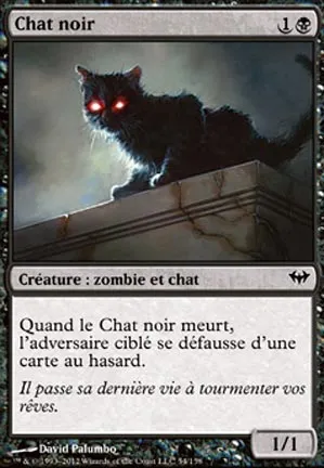 Chat noir
