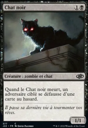 Chat noir