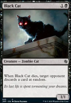 Chat noir