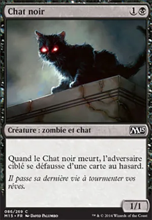 Chat noir