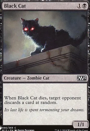 Chat noir