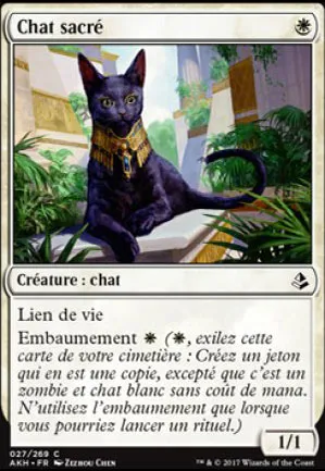 Chat sacré
