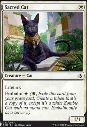 Chat sacré