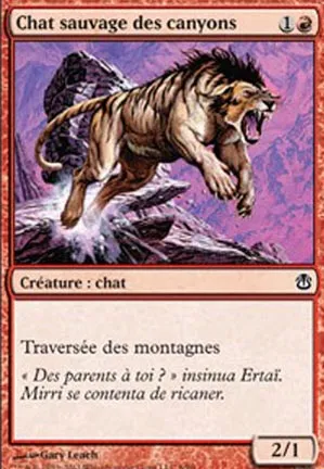 Chat sauvage des canyons