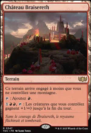 Château Braisereth