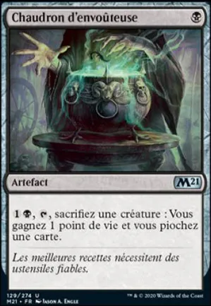 Chaudron d'envoûteuse