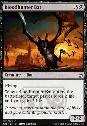 Chauve-souris chassesang